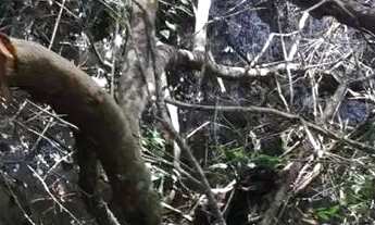 Imagem 4: Chácara com rio oportunidade 105 mil