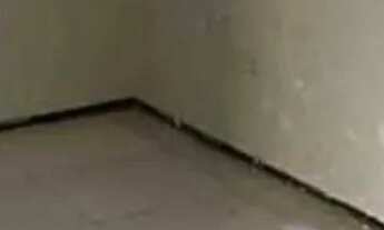 Imagem 5: 514. Coroadinho Casa com 3 dormitórios