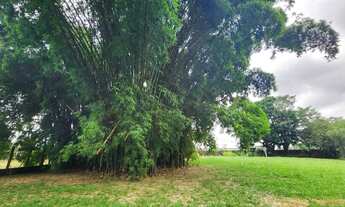 Imagem 4: Vende chácara dentro de Goiânia