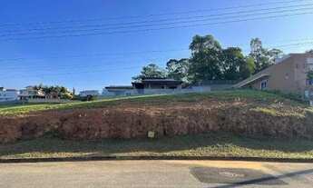 Imagem 4: Terreno à venda, 780 m² por R$ 599.000,00 - Világio Paradiso - Louveira/SP