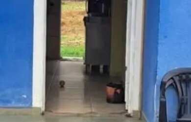 Imagem 3: ND vendo casa na cidade nova