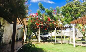 Imagem 7: CHÁCARA perfeita no ARAÇAGY