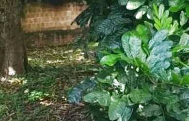 Imagem 2: Casa para Venda em Pinheiral / RJ no bairro Rolamão