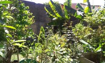 Imagem 6: Casa em Travessa das Sensitivas - Vila Marina - Santo André/SP