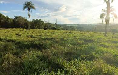 Imagem 4: Chácara de 1.000 metros em Campo Limpo