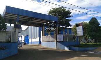 Imagem: Galpão para aluguel, Distrito Industrial