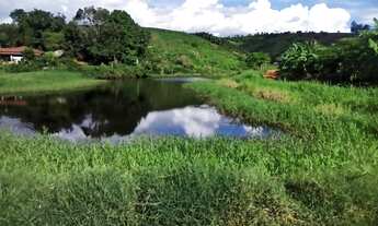 Imagem 2: Vendo 7 Alqueires em Colatina