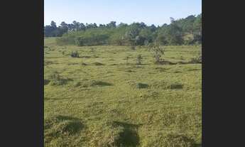 Imagem 3: Linda chácara 3hectares em localização privilegiada