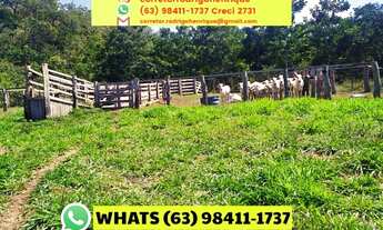 Imagem 6: Fazenda 474,32 hectares Centenário