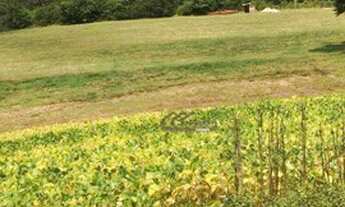 Imagem 5: Área à venda, 252000 m² por R$ 30.240.000,00 - Campo Largo da Roseira - São José dos Pinha