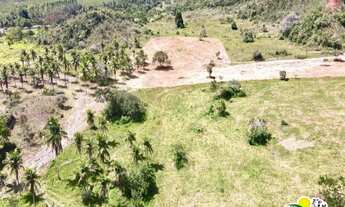 Imagem 4: Fazenda à Venda em Alagoinhas - Bahia
