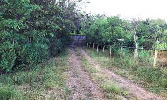 Imagem 3: Sítio de 23 Tarefas