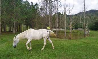 Imagem 7: Sítio Terreno Rural Itajaí - SC - Itaipava