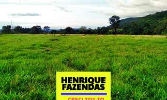 Imagem 6: Fazenda Porto Nacional no Tocantins