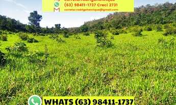 Imagem 4: Fazenda 474,32 hectares Centenário