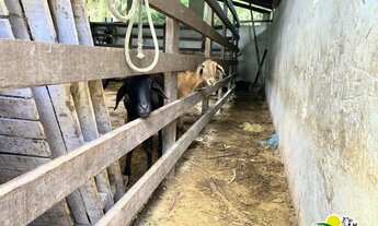 Imagem 5: Fazenda à Venda em Alagoinhas - Bahia