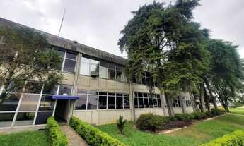 Imagem 7: Galpão em Weissópolis - Pinhais, PR