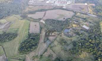 Imagem 4: Área à venda, 252000 m² por R$ 30.240.000,00 - Campo Largo da Roseira - São José dos Pinha