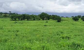 Imagem 4: Fazenda com 285 hectares em cajazeiras
