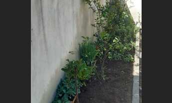 Imagem 3: Oportunidade, Terreno Plano, no Ilha privilege, Já está murado