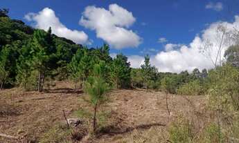 Imagem 6: Sítio de 2 hectares na Colônia Maciel