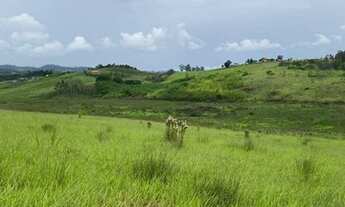 Imagem 6: G03-Acesso pela Dutra