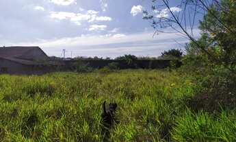 Imagem 5: Lote/Terreno para venda com 5400 metros quadrados em Jardim São Pedro - São Paulo - SP