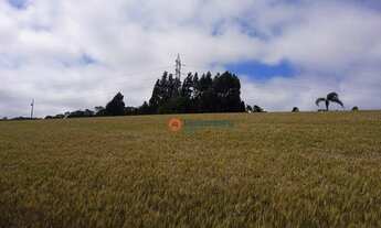 Imagem 7: Chácara com 2 dormitórios à venda, 79860 m² por R$ 1.200.000,00 - Cidade dos Lagos - Guara