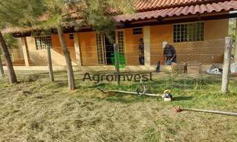 Imagem 3: Chácara em São Miguel do Passa Quatro-GO