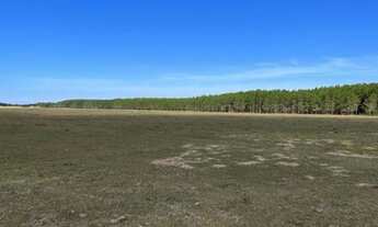 Imagem 5: Vendo Imóvel Rural com 162,5ha em Tavares/RS na Localidade de Capão Comprido