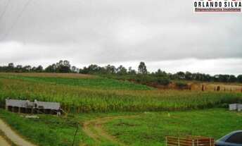 Imagem 2: 11min Shopping S.José/31min Curitiba/Terreno/Comercial/3.841,24m²/ R$ 572mil