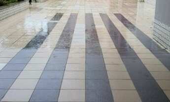 Imagem 2: Ed Golden Garden 1. Liga 9 8 7 4 8 3 1 0 8 DIEGO9989F