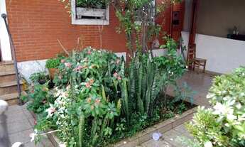 Imagem 3: São Paulo - Casa Padrão - Vila da Saúde