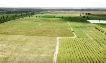 Imagem 5: Encontre a sua Fazenda aqui