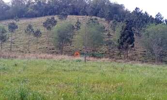 Imagem 15: Chácara 5 Alqueires em Cantagalo-Pr