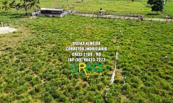 Imagem: 80 Alqueires dupla aptidão Machadinho-RO