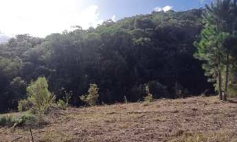 Imagem 7: Sítio de 2 hectares na Colônia Maciel