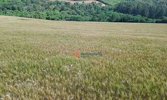 Imagem 4: Chácara com 2 dormitórios à venda, 79860 m² por R$ 1.200.000,00 - Cidade dos Lagos - Guara