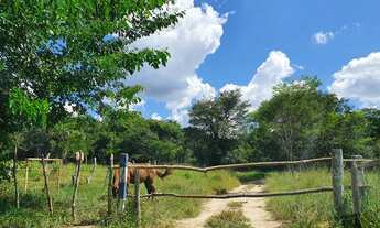 Imagem 2: Fazendinhas Excelentes em Fortuna de Minas 24.980 + Parcelas