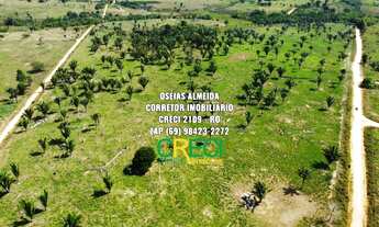 Imagem 4: 80 Alqueires dupla aptidão Machadinho-RO