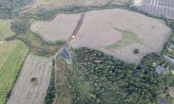 Imagem 1: Área à venda, 252000 m² por R$ 30.240.000,00 - Campo Largo da Roseira - São José dos Pinha