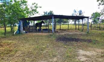 Imagem 6: Sítio de 23 Tarefas