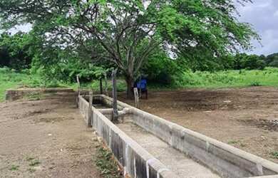 Imagem 6: Fazenda com 285 hectares em cajazeiras