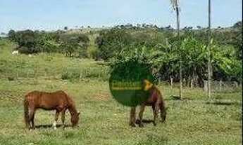 Imagem 6: Fazenda com 2 dormitórios à venda, 4936800 m² por R$ 15.000.000 - Zona Rural - Baliza/GO