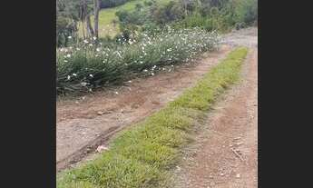 Imagem 4: Chacara 3.410 Mt° /02 quartos,pronta para morar , Serra de Santa Catarina, Alfredo Wagner