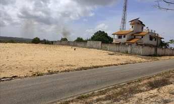 Imagem 4: Terreno Genipabu-Flora