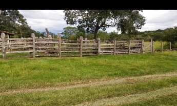 Imagem 4: Oportunidade! Vende-se uma excelente fazenda de 12 Alqueires