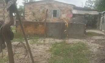 Imagem 3: TERRA 6.5 alqueires no FAINA