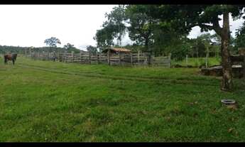 Imagem 5: Oportunidade! Vende-se uma excelente fazenda de 12 Alqueires