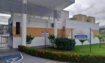 Imagem 2: Jardim Paradiso Anturio